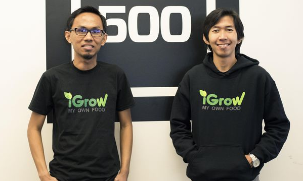 StartUp igrow Indonesia mempertemukan antara Petani, Pemilik Lahan, dan Investor