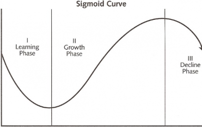 Kurva Sigmoid (Sigmoid Curve)